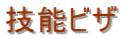 技能ビザ